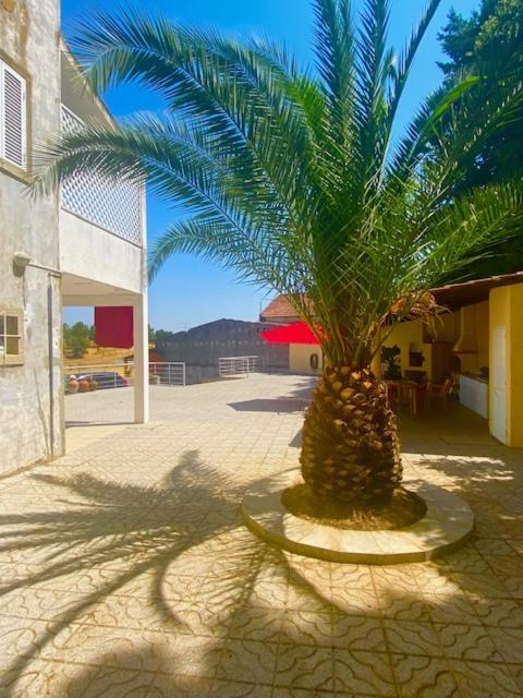 1955 Guest House Cebolais de Cima Exterior photo